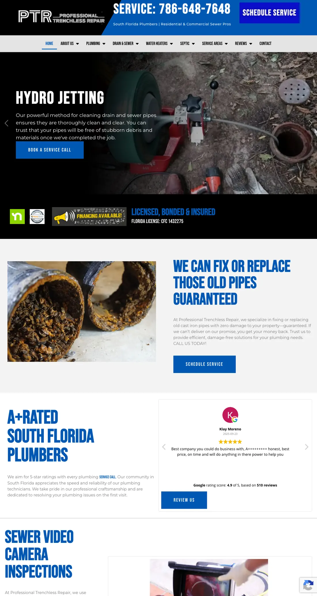 Professional Trenchless Plumbing website preview