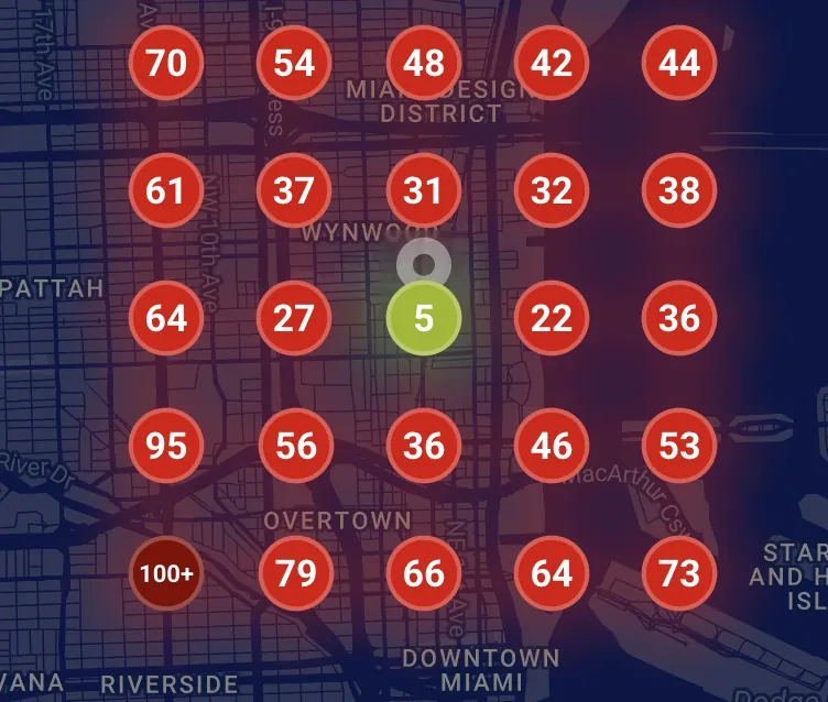 Illustration of baseline visibility before stronger local authority signals